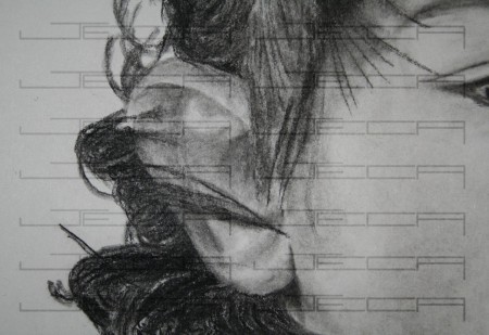 DETALLES PELO Y OREJA "SANTIAGO". CARBÓN 